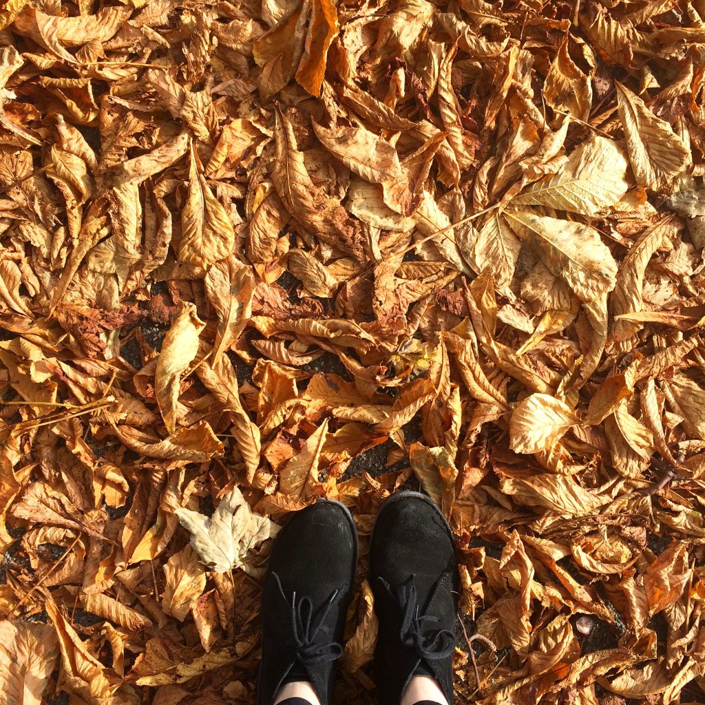 Leaves, Yorkshire