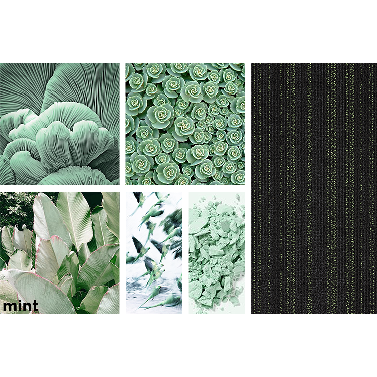 jc_hadron-colour-name-inspiration-mint-small-2