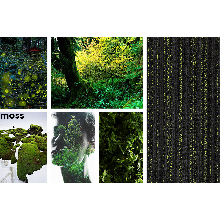jc_hadron-colour-name-inspiration-moss-small-2