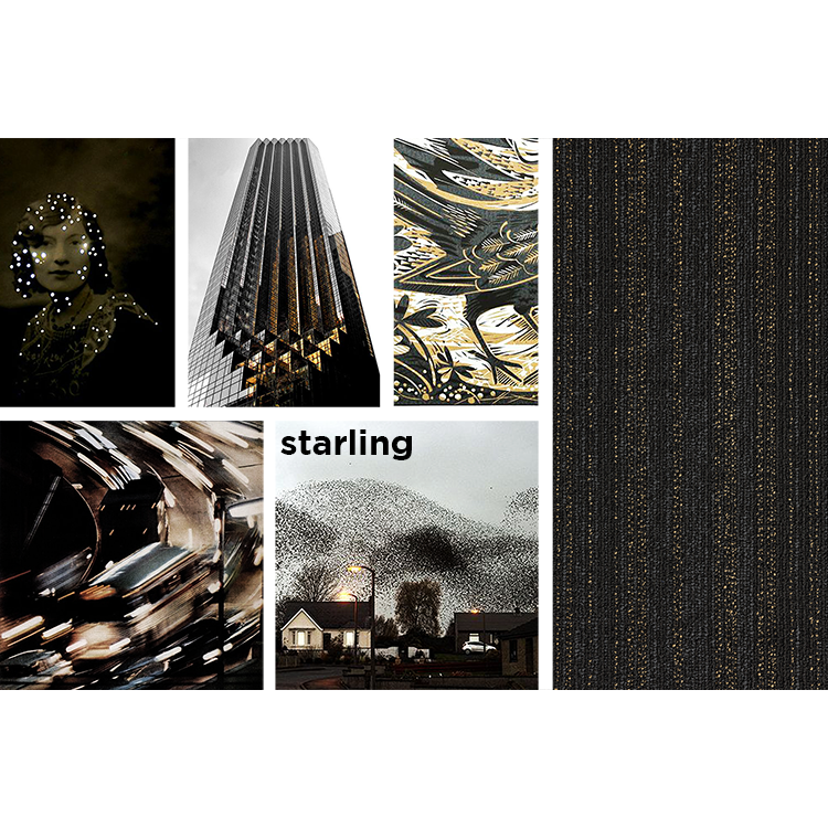 jc_hadron-colour-name-inspiration-starling-small-2