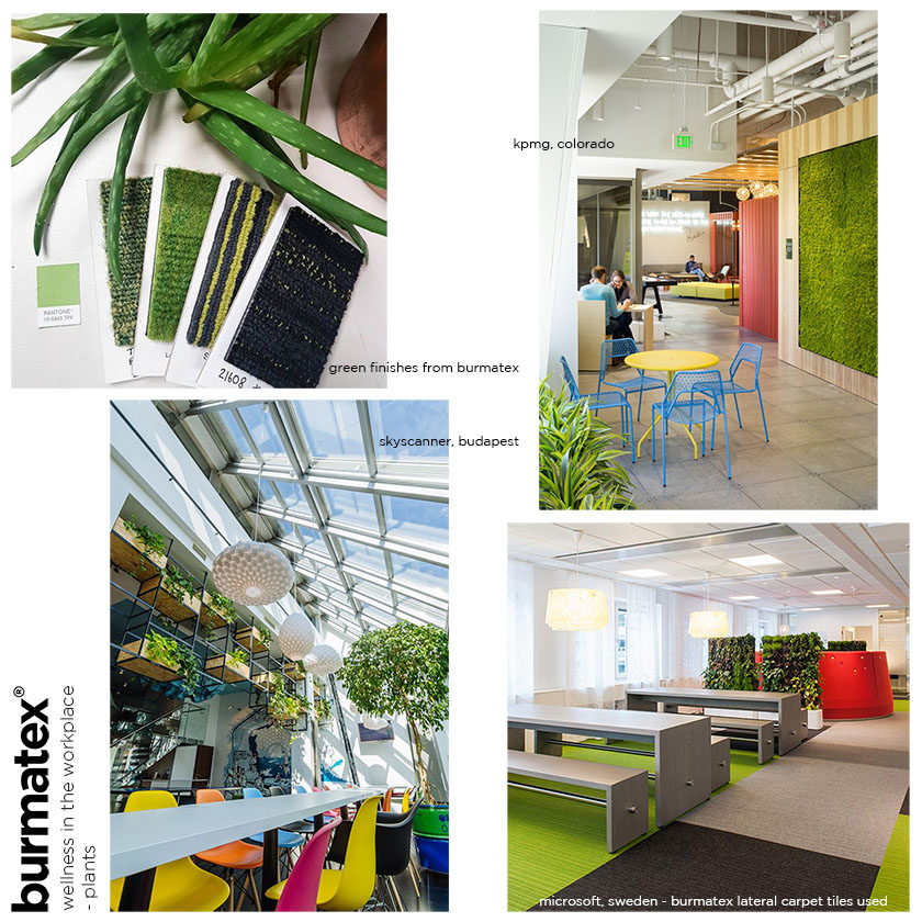 burmatex design blog-wellness in the workplace-plants