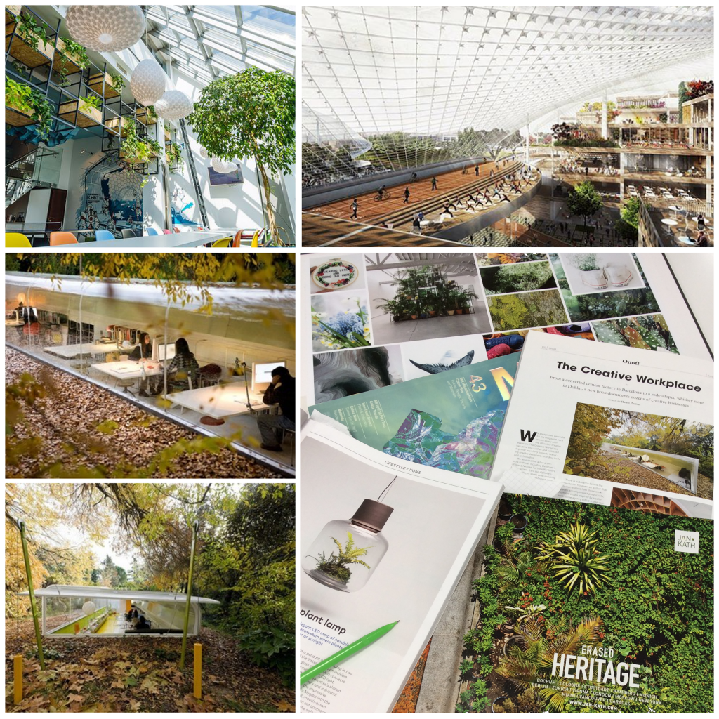 burmatex_office trends 2016_biospheric