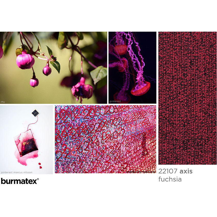 inspiration images axis fuchsia, jellyfish, emmanuelle moureaux foresto of numbers