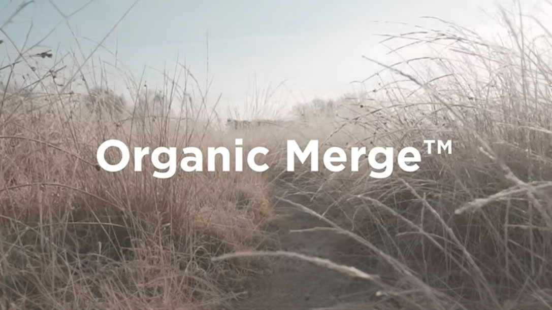 Organic Merge Thumbnail